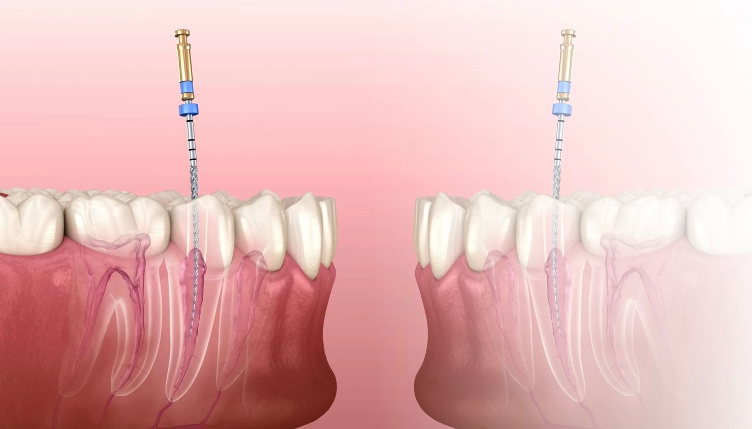 service illustration